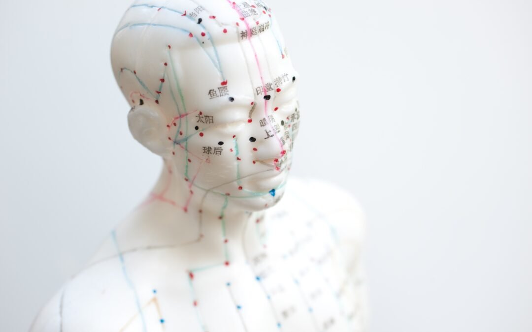 Human Acupuncture Meridian Points